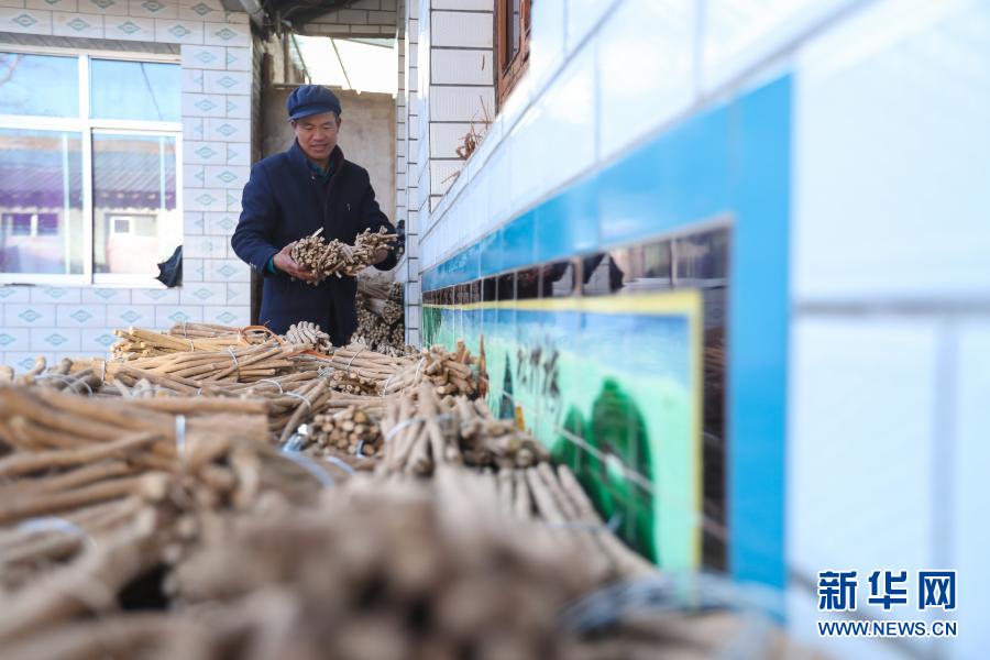 1127102185_16133565801211n.jpg 1127102185_16133565801211n.jpg