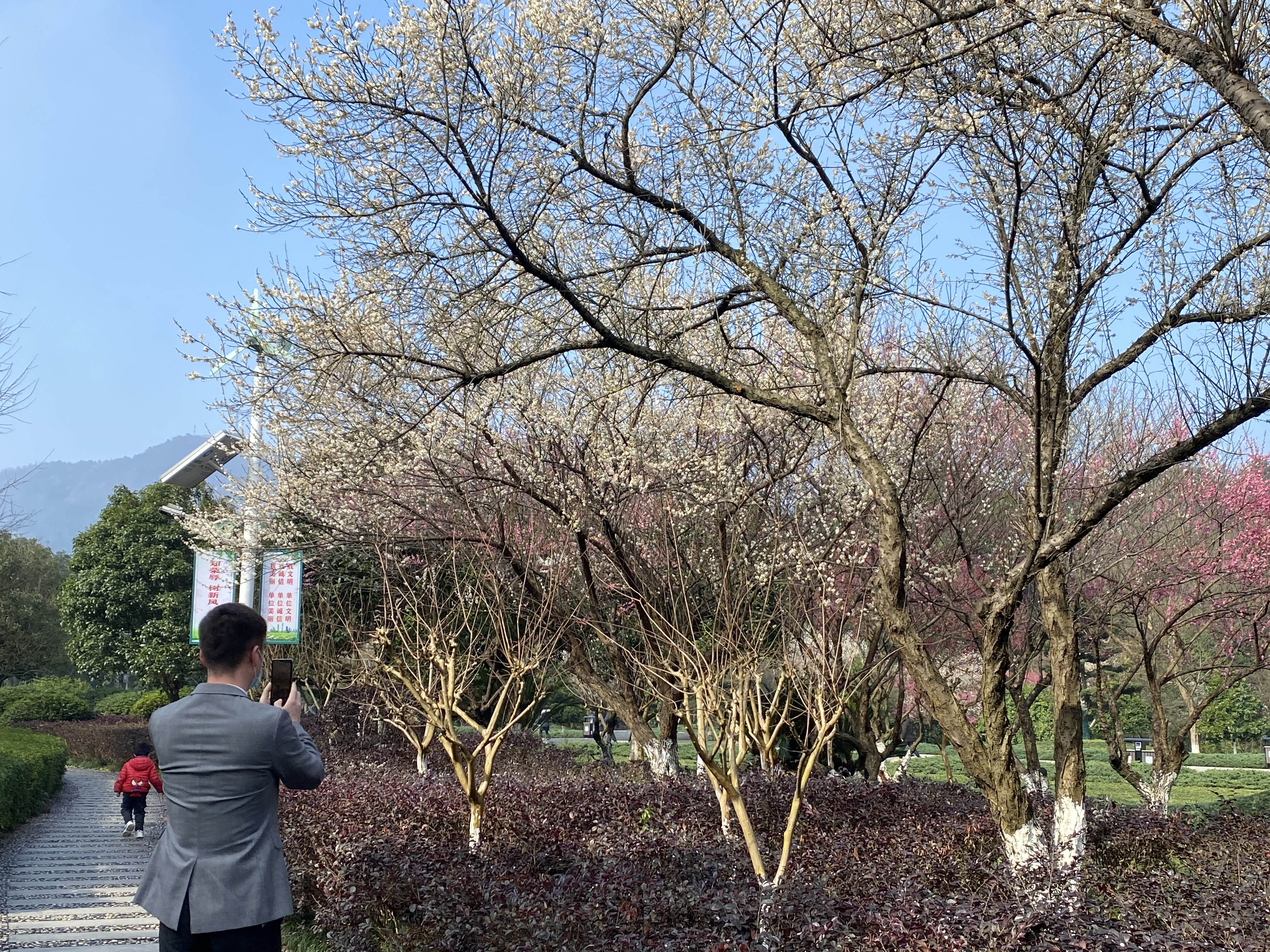 QQ图片20210217150929.jpg QQ图片20210217150929.jpg