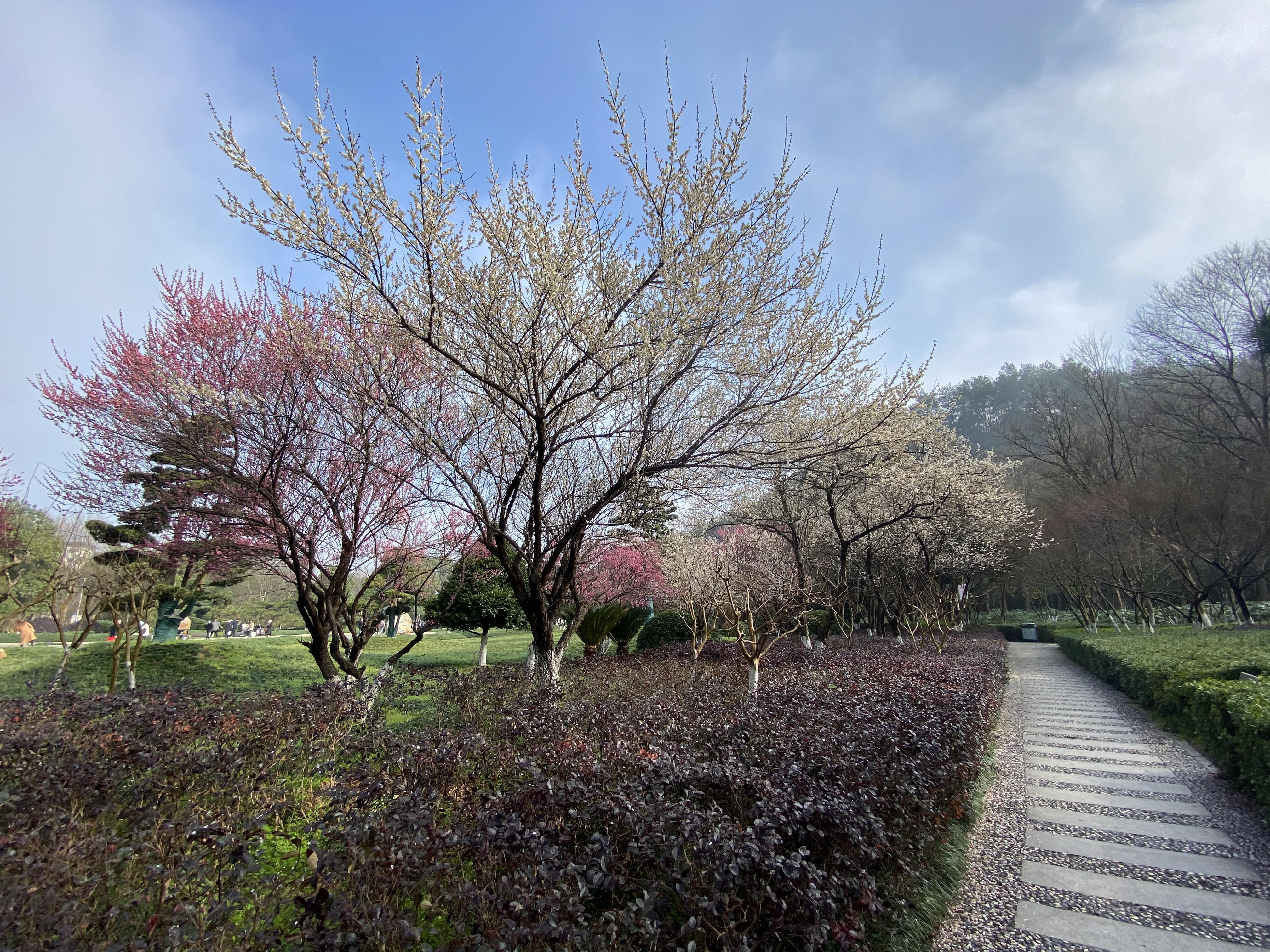 QQ图片20210217150851.jpg QQ图片20210217150851.jpg