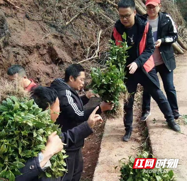 图片4.jpg