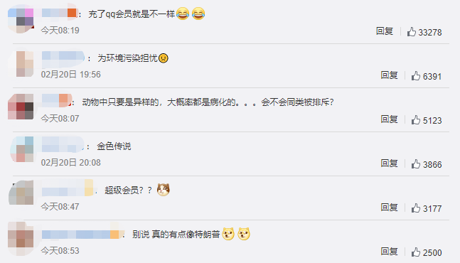 微信截图_20210221211021.png