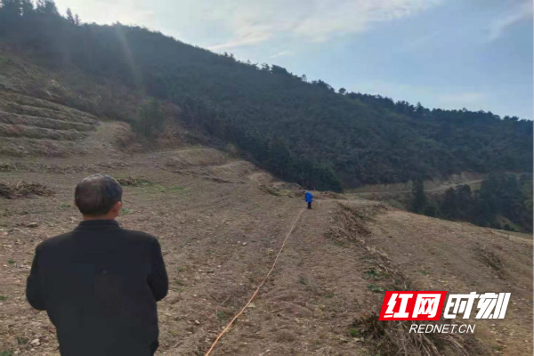 农业干部验收新开挖茶叶地_meitu_4.jpg 农业干部验收新开挖茶叶地_meitu_4.jpg