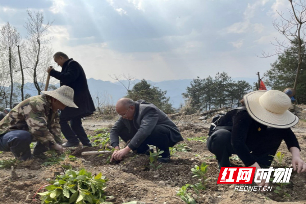 古丈县农技人员下乡送服务_meitu_2.jpg 古丈县农技人员下乡送服务_meitu_2.jpg