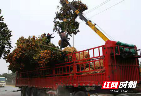 tupian24.jpg tupian24.jpg