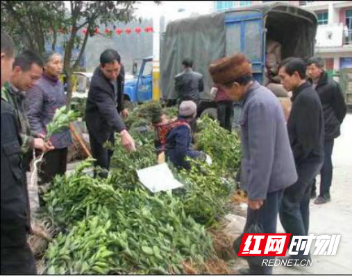 tupian23.jpg tupian23.jpg