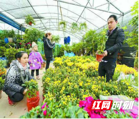 tupian22.jpg tupian22.jpg