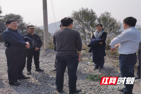 杨彦芳（右二）到岩头寨镇鲁家村油茶种植基地实地察看.jpg