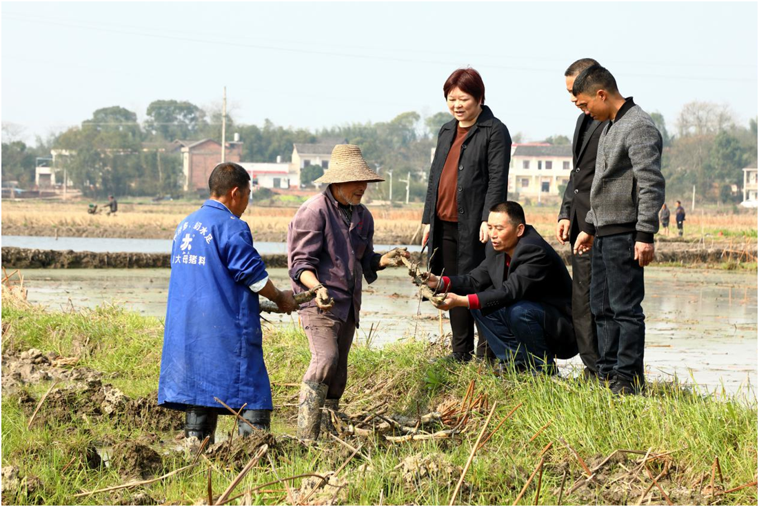 QQ图片20210224105030.png QQ图片20210224105030.png