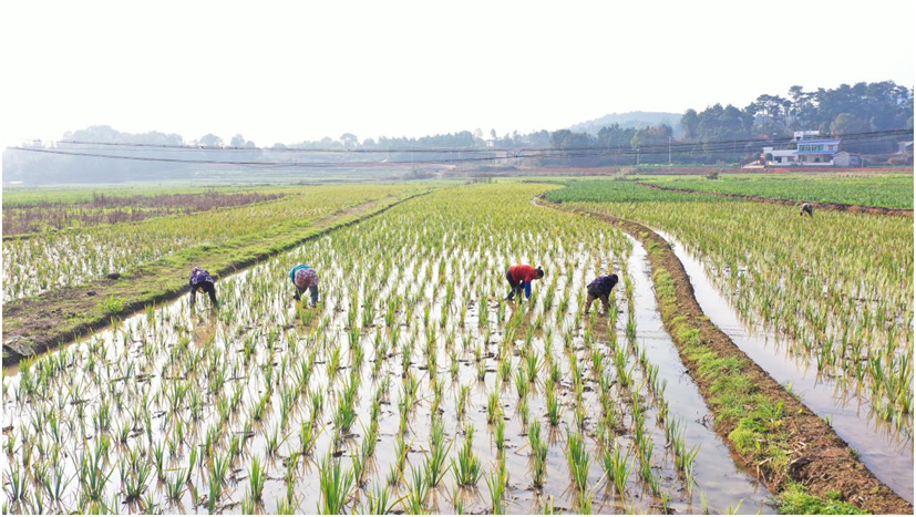 QQ图片20210224104923.png QQ图片20210224104923.png