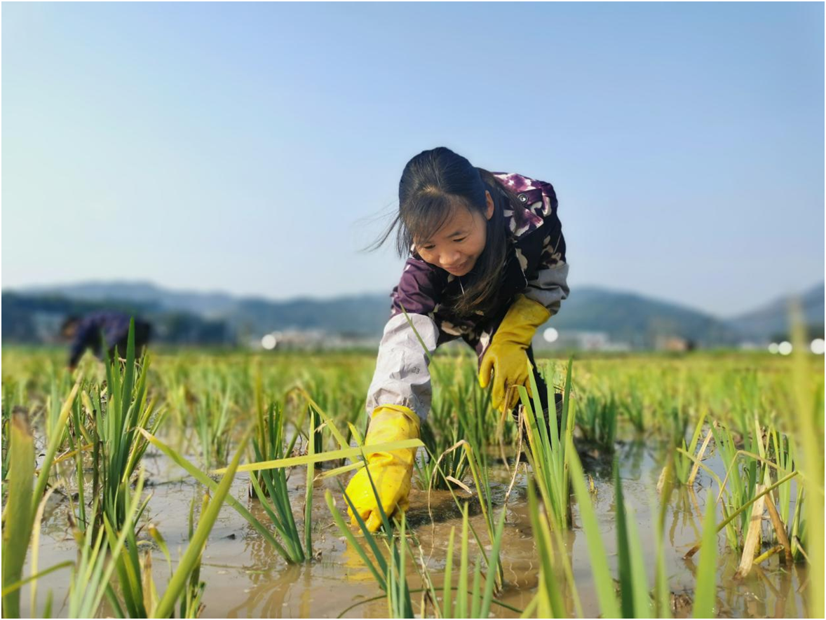 QQ图片20210224104938.png QQ图片20210224104938.png