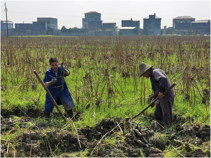 QQ图片20210224105003.png QQ图片20210224105003.png