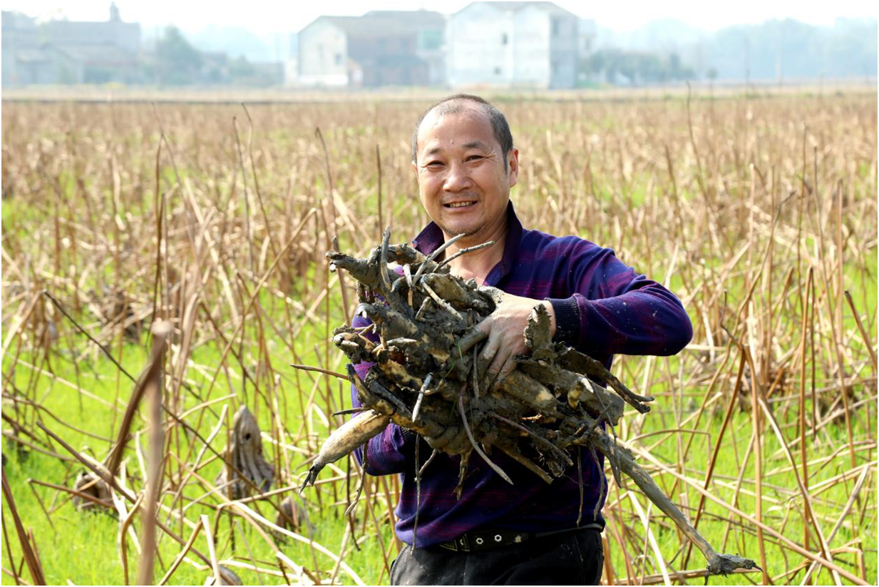 QQ图片20210224105014.png QQ图片20210224105014.png