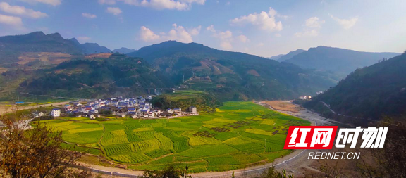 图片3.marked.png 图片3.marked.png