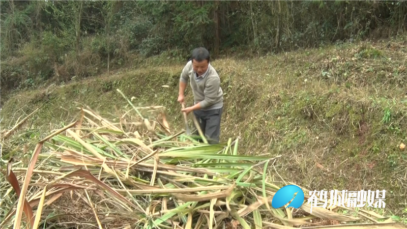 毛克文 我们脱贫了.mp4_20210225_180102.988.png