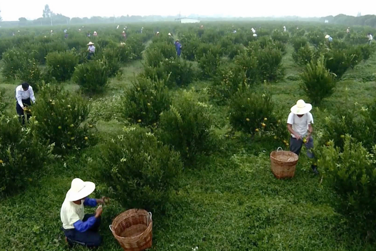 微信图片_20210225175941.jpg 微信图片_20210225175941.jpg