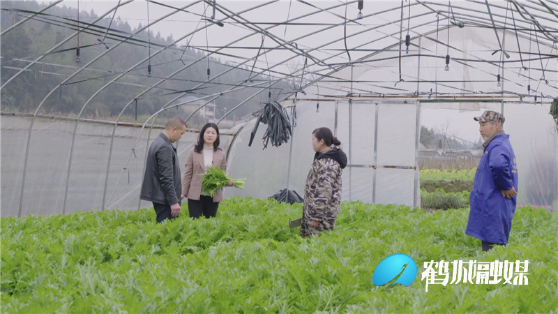 李小红:市场建在家门口.mp4_20210226_174152.903.jpg 李小红:市场建在家门口.mp4_20210226_174152.903.jpg