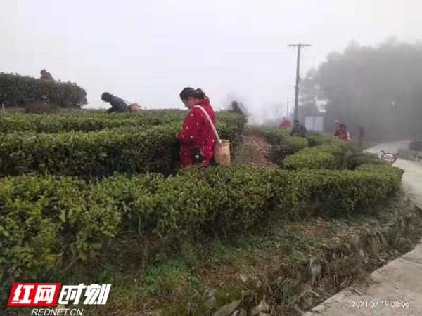 微信图片_20210225162714_副本1.jpg 微信图片_20210225162714_副本1.jpg