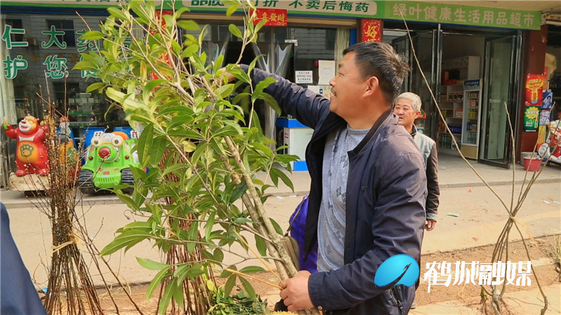 春暖种树忙 苗木市场销售旺.mp4_20210226_173429.687.jpg