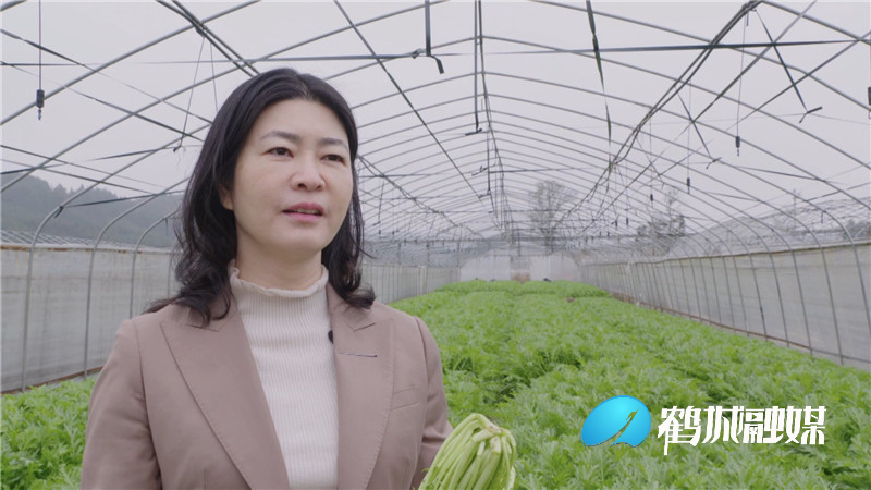 李小红:市场建在家门口.mp4_20210226_174226.246.jpg 李小红:市场建在家门口.mp4_20210226_174226.246.jpg