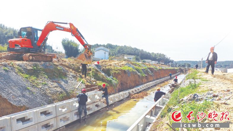 　　路口镇明月村高标准农田建设项目现场。  杨源 摄