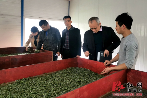 工作人员正在了解春茶烘干制作流程。.jpg