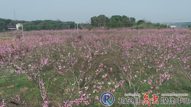 w_暴风截图202122818132183.jpg