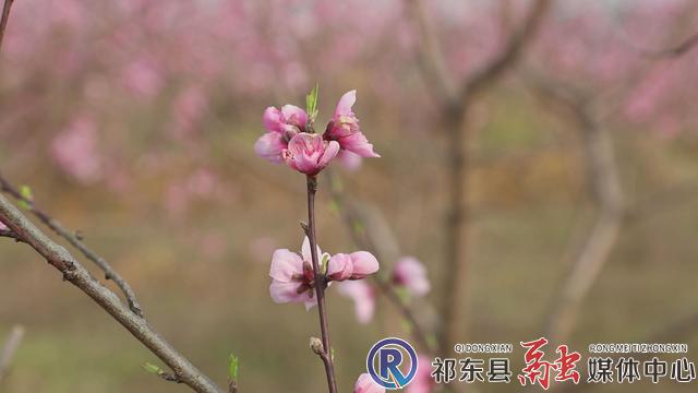 w_暴风截图202122818295547.jpg