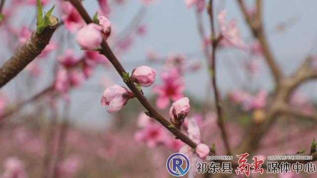 w_暴风截图202122818275579.jpg