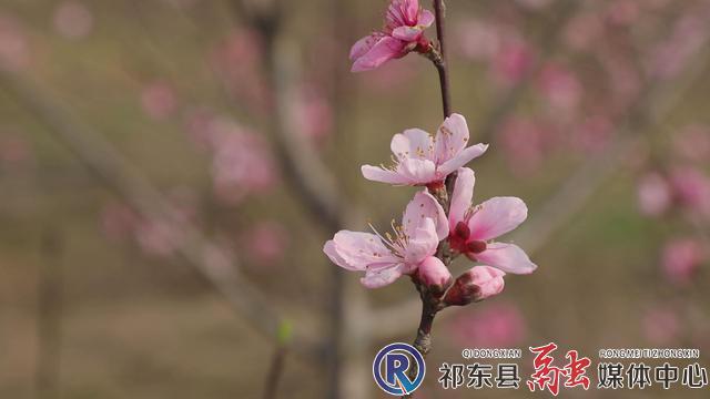 w_暴风截图202122818313269.jpg