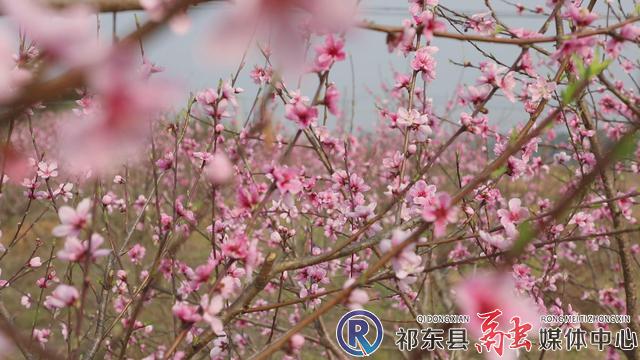 w_暴风截图202122818284767.jpg
