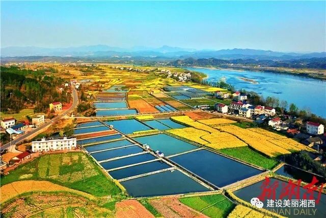 嘆生活之美 融得進時代,留得住鄉愁 潘建軍是龍山縣裡耶鎮自生橋村