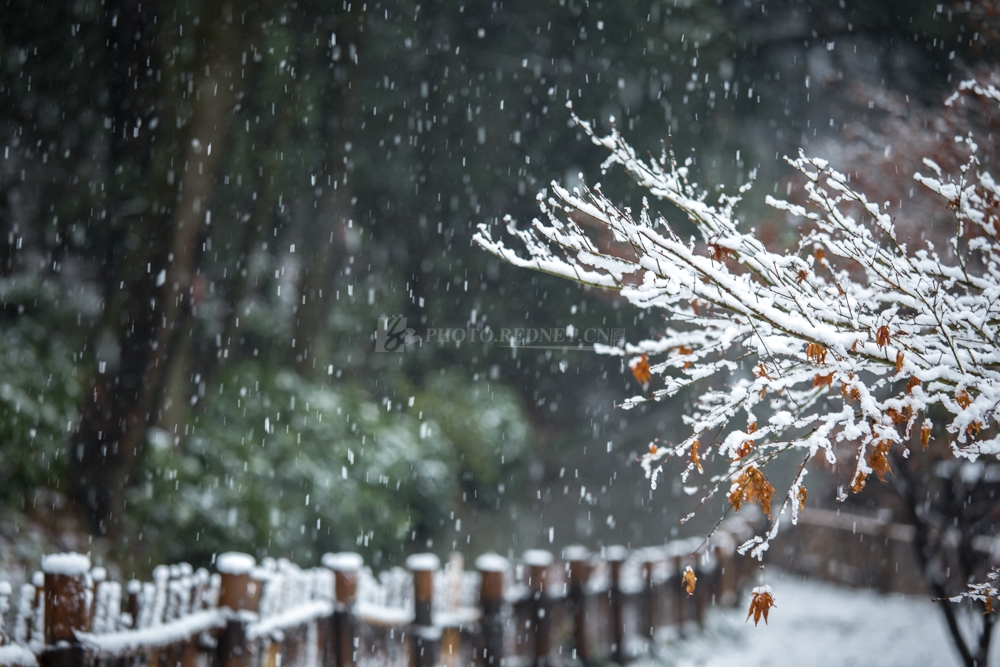 闲人2012.jpg 闲人2012.jpg