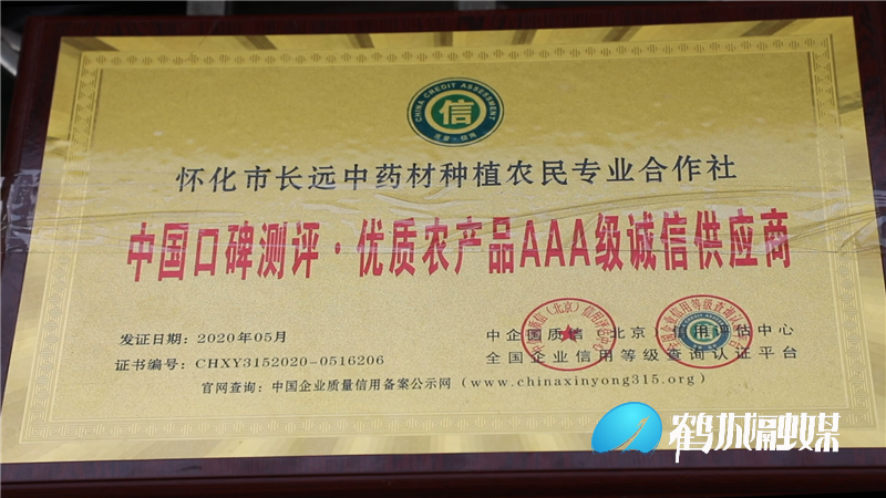 尹全来：种下中药材 探出致富方.mp4_20210302_184445.774.png
