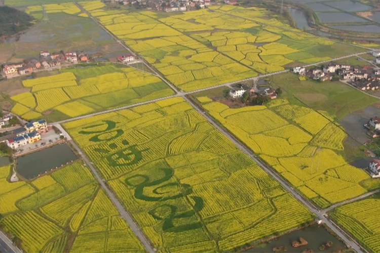 微信截图_20210301175839.png