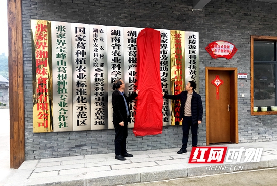 为湘阿妹食品有限公司授牌.jpg 为湘阿妹食品有限公司授牌.jpg