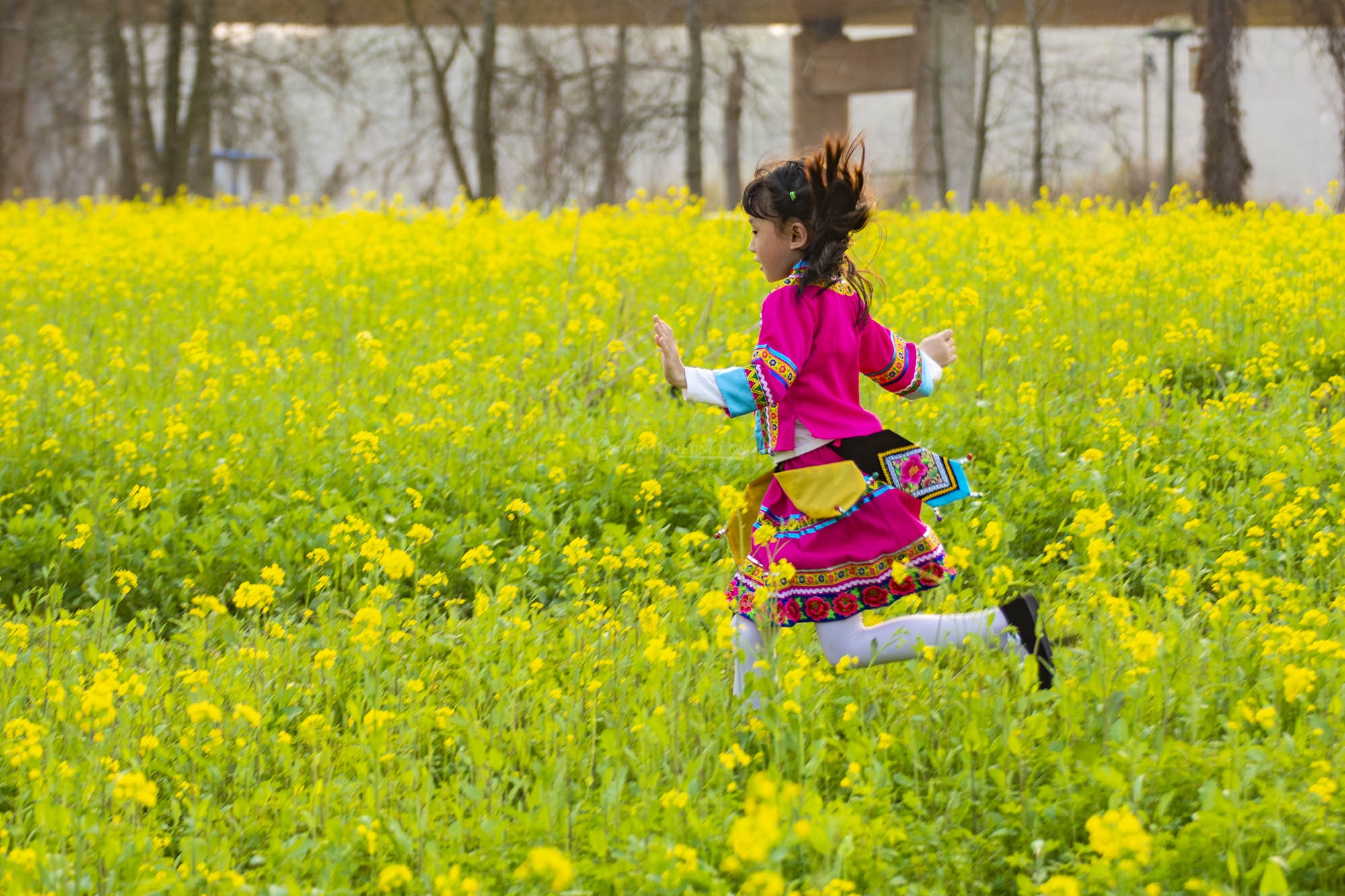 吴非1111243.jpg 吴非1111243.jpg