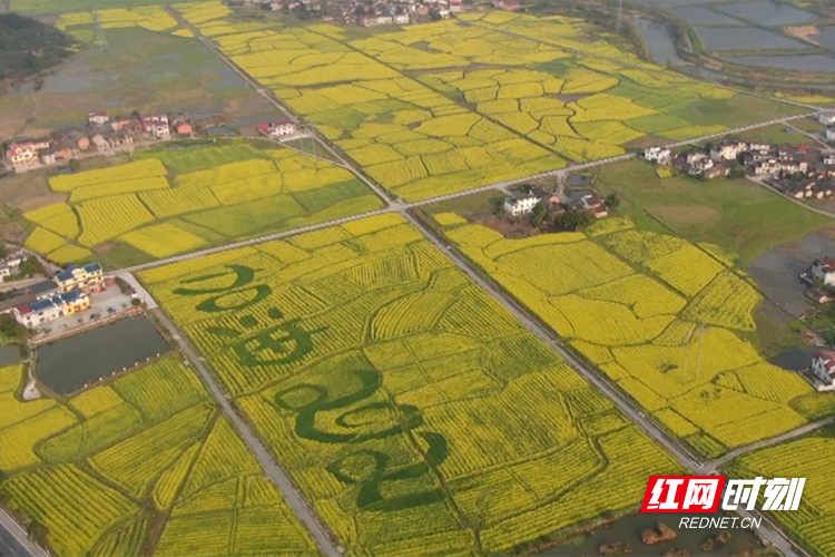 微信截图_20210301175839.png