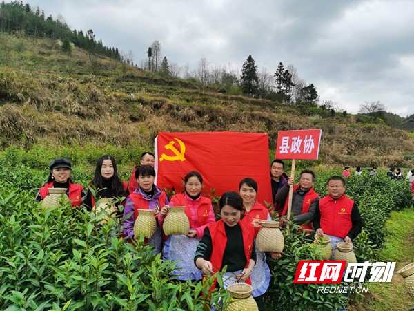 微信图片_20210303220842.jpg