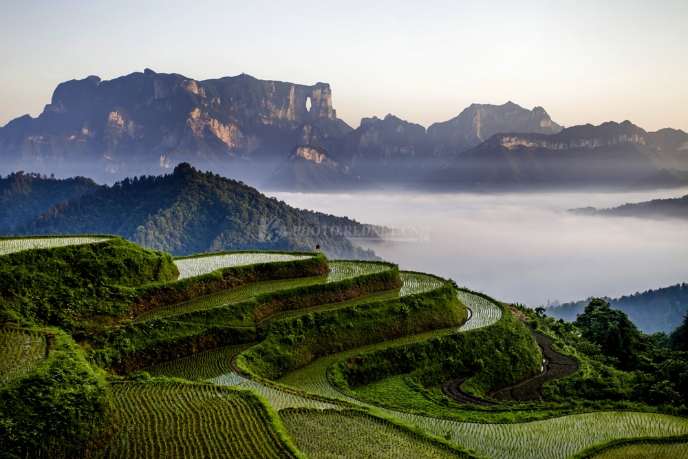 陈林生.jpg 陈林生.jpg