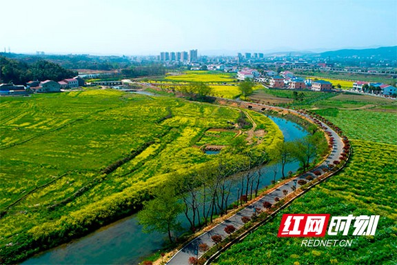 桃江灰山港镇杨家湾村升级为省级精品乡村