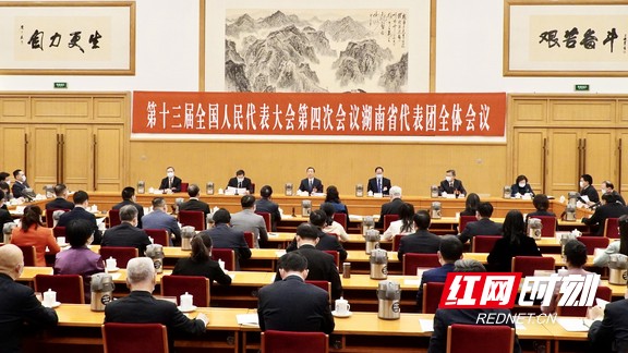 湖南代表团举行第一次全体会议 推选许达哲为团长，毛伟明等为副团长