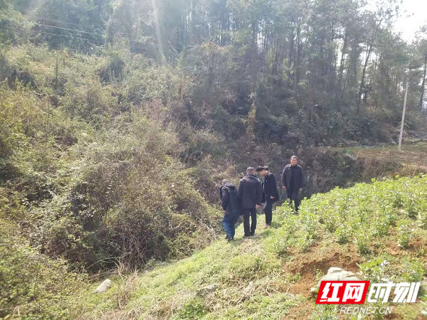 禁种铲毒踏查1_副本.jpg