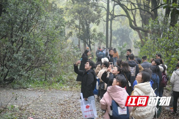 微信图片_20210308154215.marked.jpg