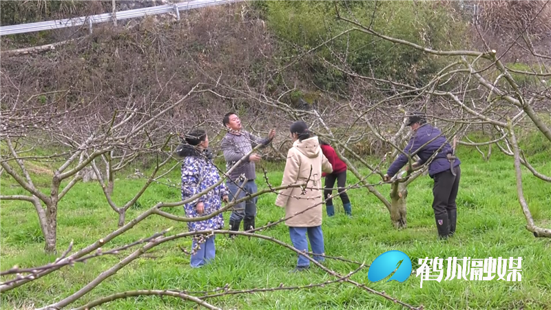 鹤城：春耕忙生产 田间地头一派繁忙的景象（半成品）.mp4_20210310_162039.716.png