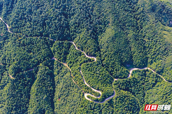 2.竹海深处有人家。公路是信息桥、物流桥，更是连通世界的致富桥.jpg