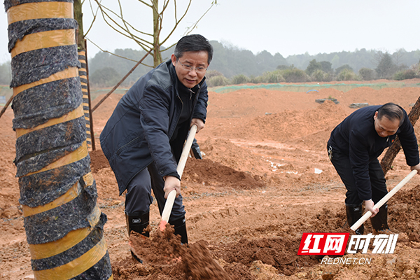 益阳市委书记瞿海(左一)带头义务植树。.jpg 益阳市委书记瞿海(左一)带头义务植树。.jpg