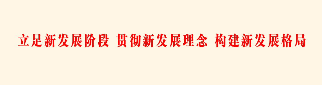 立足新发展阶段 贯彻新发展理念 构建新发展格局 jpg