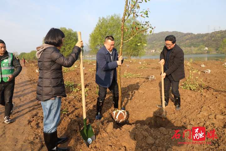 微信图片_20210312122800.jpg 微信图片_20210312122800.jpg