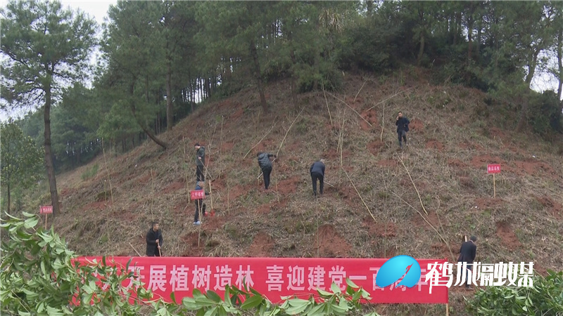 鹤城区岩门公园：植树节里织“绿带”.mp4_20210312_154739.442.jpg