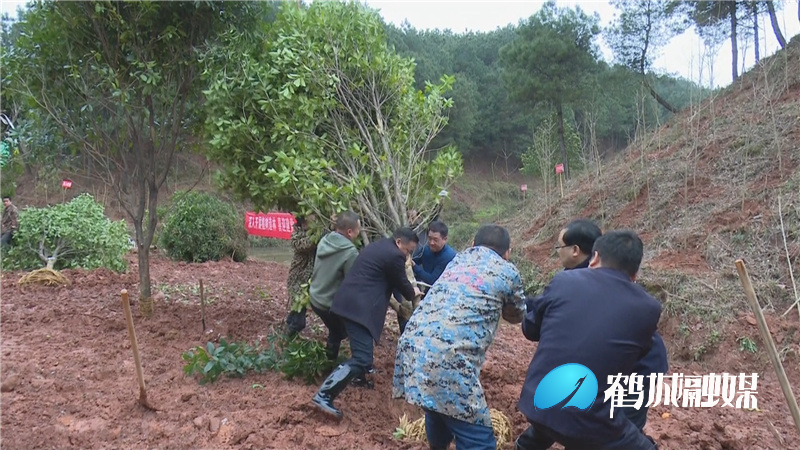 鹤城区岩门公园：植树节里织“绿带”.mp4_20210312_154753.977.jpg